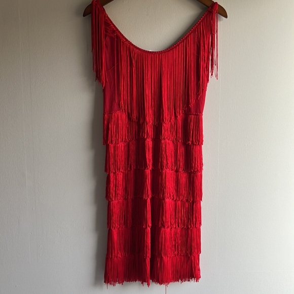 Red fringe sequined flapper dress - Picture 6 of 7